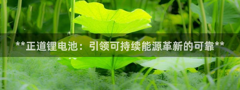 agz6尊龙凯时集团