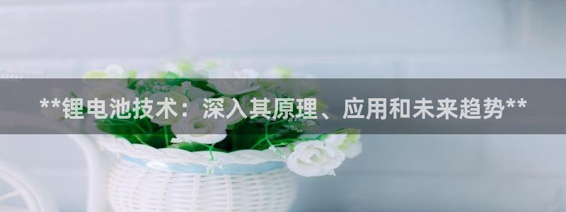 尊龙凯时登陆网址