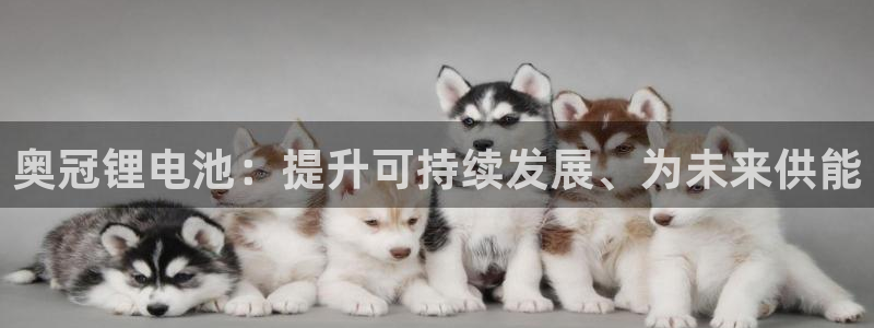 尊龙凯时人生就是博·(中国)官网首页