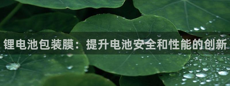 尊龙人生就是博一下下