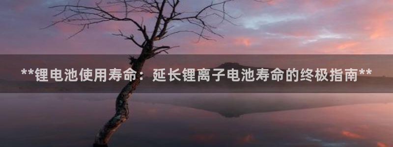 尊龙得过奥斯卡吗