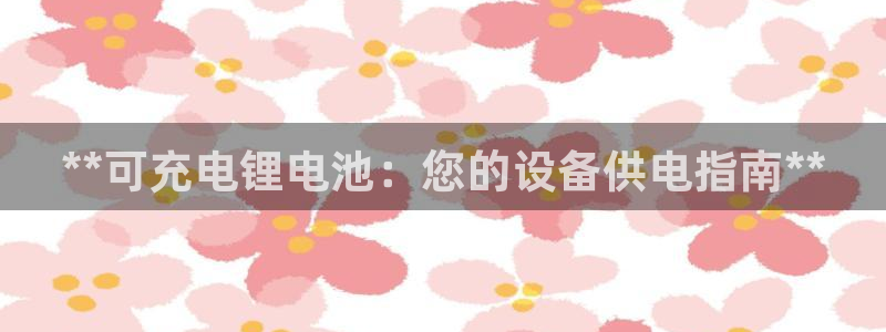 尊龙新版登录网址下载：**可充电锂电池：您的设备供电指南**