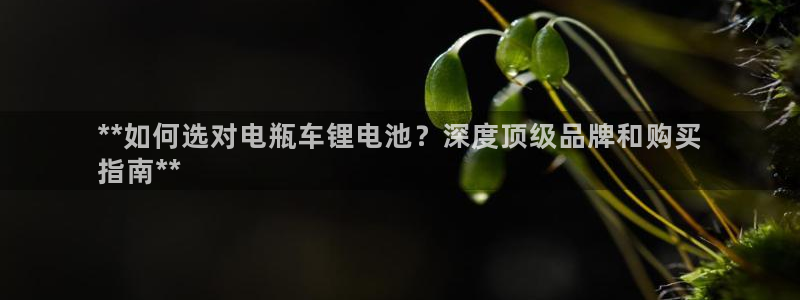 尊龙官网APP下载