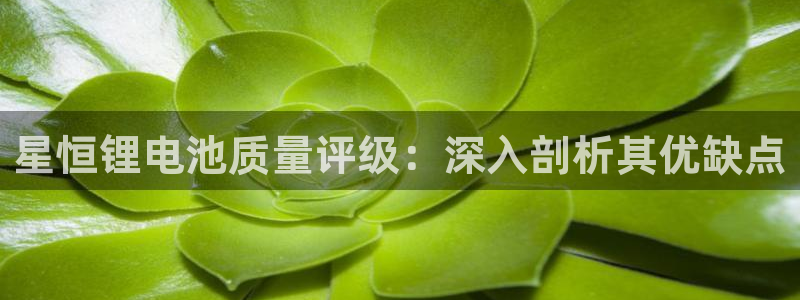 尊龙 10