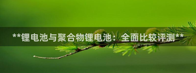 尊龙凯时官网入口