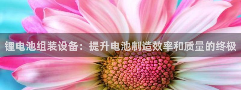 尊龙z6：锂电池组装设备：提升电池制造效率和质量的终极
