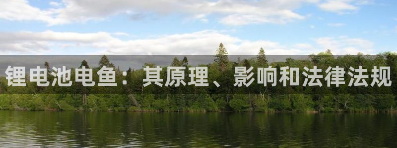 尊龙凯时代理佣金发不发