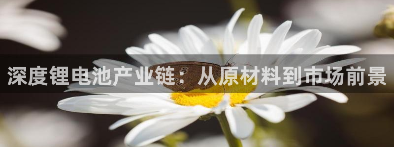尊龙AG发财网
