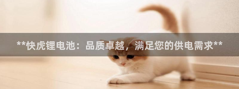 尊龙人生就是博电脑版：**快虎锂电池：品质卓越，满足您的供电需求**