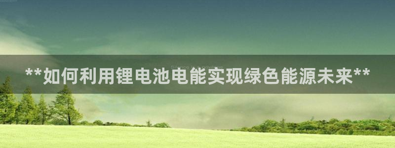 尊龙手机官方客户端下载安装：**如何利用锂电池电能实现绿色能源未来**