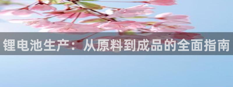 尊龙人生就是博网站：锂电池生产：从原料到成品的全面指南