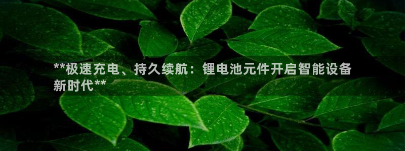 尊龙凯时 - 人生就是搏手机登录：**极速充电、持久续航：锂电池元件开启智能设备
新时代**