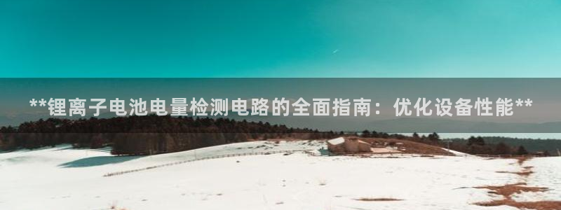 尊龙登录地址：**锂离子电池电量检测电路的全面指南：优化设备性能**