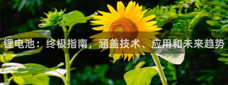 尊龙人生就是博首页入口：锂电池：终极指南，涵盖技术、应用和未来趋势