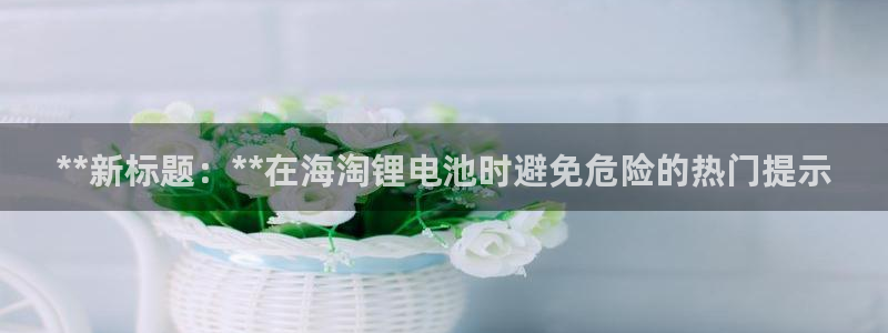 尊龙手机版：**新标题：**在海淘锂电池时避免危险的热门提示