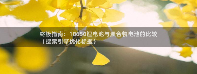 尊龙网站手机下载：终极指南：18650锂电池与聚合物电池的比较
（搜索引擎优化标题）