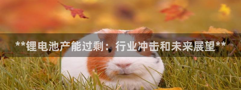 香港尊龙：**锂电池产能过剩：行业冲击和未来展望**