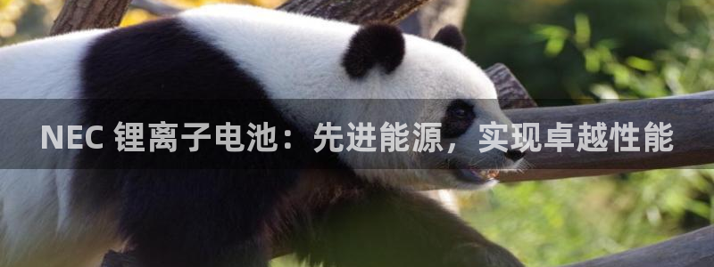 尊龙集团有限公司地址：NEC 锂离子电池：先进能源，实现卓越性能