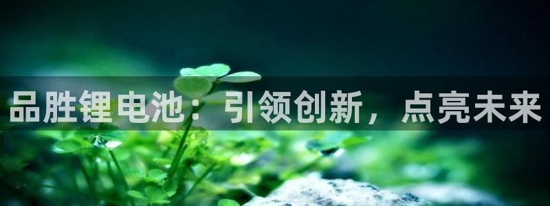 尊龙凯时官网网页版：品胜锂电池：引领创新，点亮未来