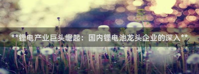 尊龙凯时产品种类