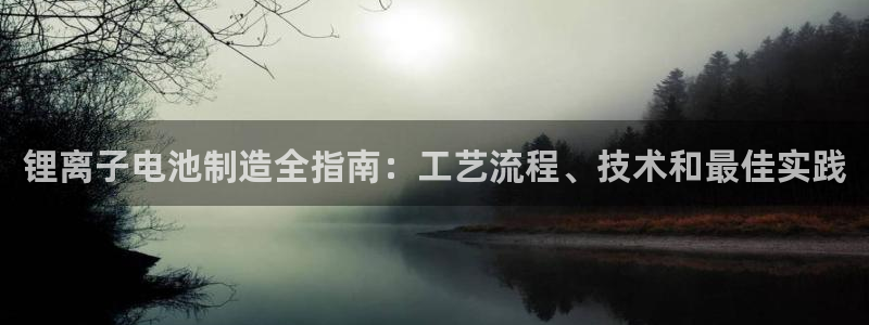 尊龙500价格：锂离子电池制造全指南：工艺流程、技术和最佳实践