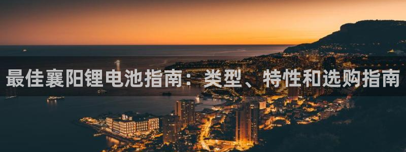 尊龙凯时人生就是搏z6com：最佳襄阳锂电池指南：类型、特性和选购指南