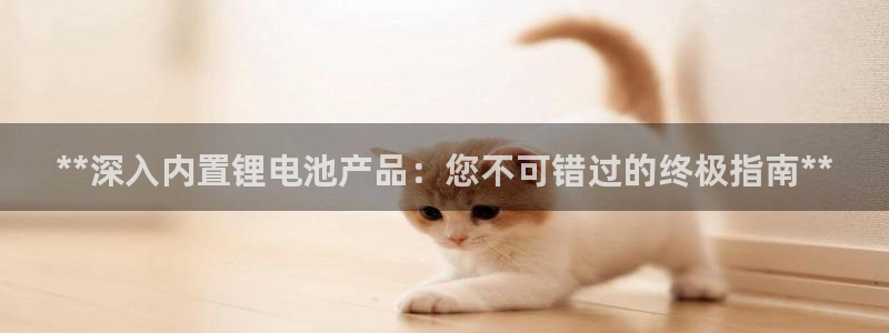 尊龙网站 人生就是博：**深入内置锂电池产品：您不可错过的终极指南**