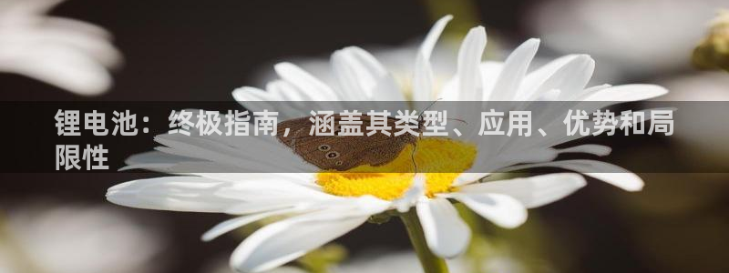 尊龙中国