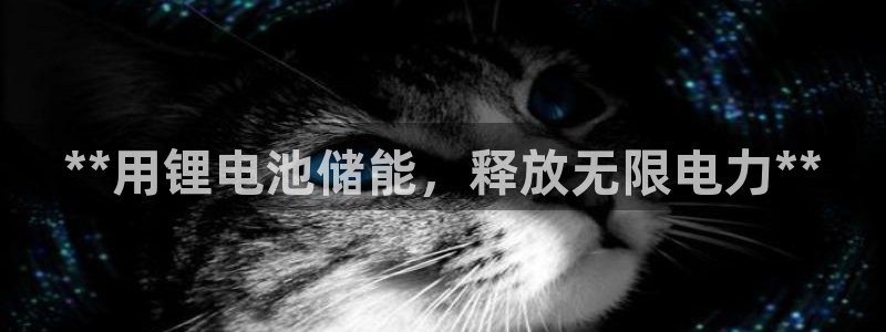 尊龙d88官网登录：**用锂电池储能，释放无限电力**