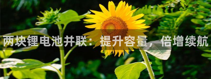 尊龙凯时旗舰厅官网：两块锂电池并联：提升容量，倍增续航