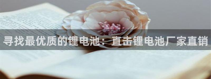 尊龙凯时法充十万返现多少：寻找最优质的锂电池：直击锂电池厂家直销