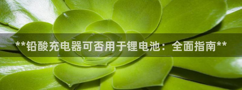z6尊龙凯时ag旗舰厅：**铅酸充电器可否用于锂电池：全面指南**