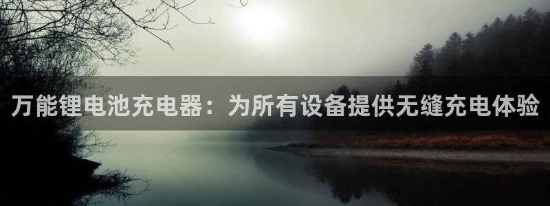 d88尊龙可靠送38元：万能锂电池充电器：为所有设备提供无缝充电体验