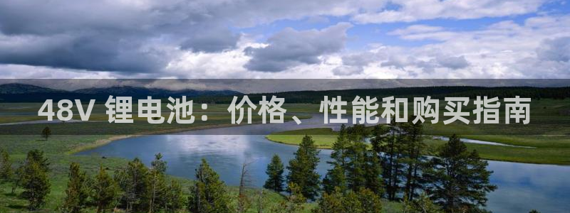 尊龙凯时代理能提出来不：48V 锂电池：价格、性能和购买指南