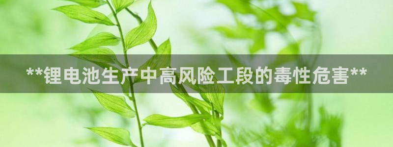 尊龙信息科技有限公司：**锂电池生产中高