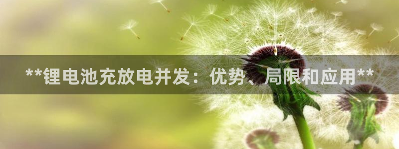 尊龙凯时注册地址：**锂电池充放电并发：优势、局限和应用**