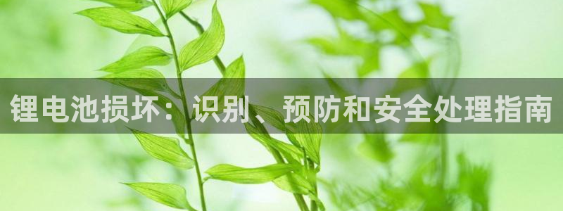 尊龙凯时的钱能退回来吗：锂电池损坏：识别、预防和安全处理指南