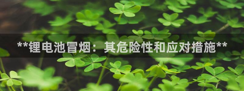 尊龙凯时人生就是搏 品牌专区：**锂电池冒烟：其危险性和应对措施**
