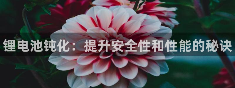 尊龙凯时处理未到账：锂电池钝化：提升安全性和性能的秘诀
