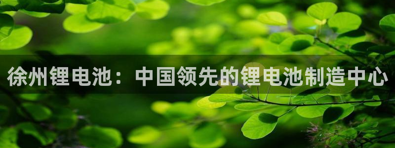 凯时国际app登录：徐州锂电池：中国领先的锂电池制造中心
