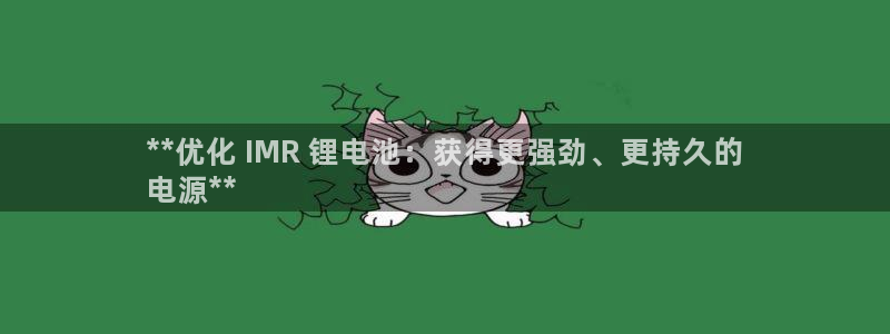 尊龙凯时干什么的：**优化 IMR 锂电池：获得更强劲、更持久的
电源**