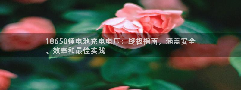 尊龙凯时logo：18650锂电池充电电