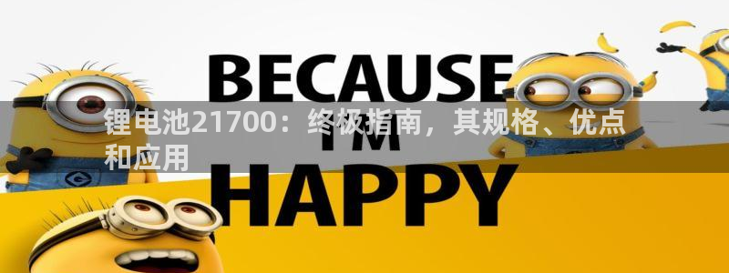 尊龙新版app首页：锂电池21700：终极指南，其规格、优点
和应用