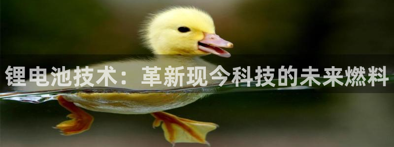 尊龙凯时集团