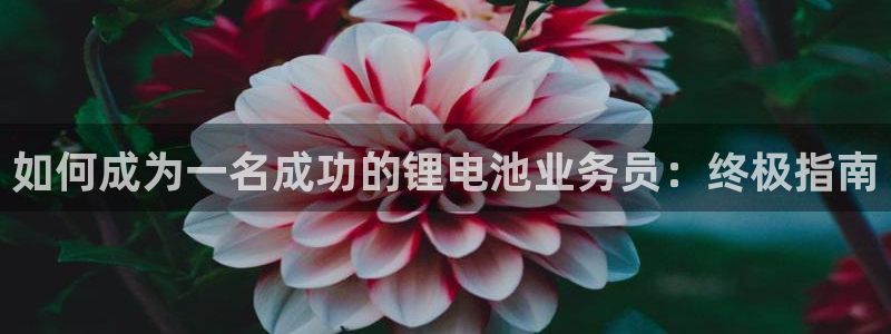 凯时k8娱乐唯一官网