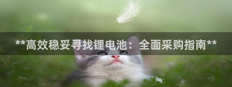 尊龙凯时v7要冲多少