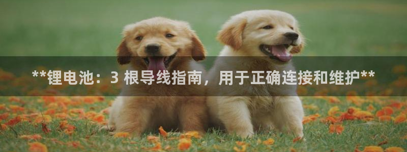 尊龙ag旗舰官网