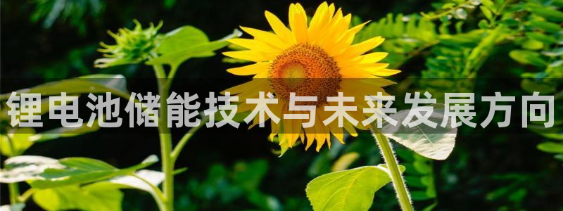 尊龙凯时取款有要求吗