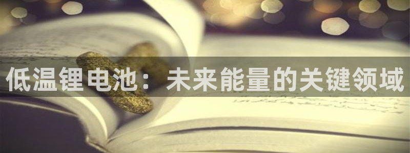 凯时kb88会员登录