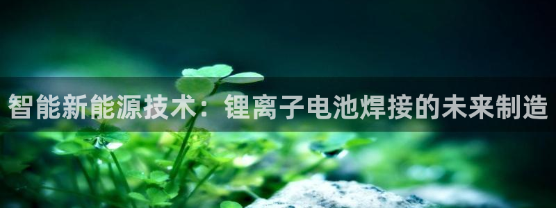 Z6尊龙老版